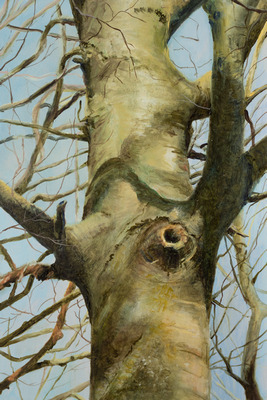 Expositie &quot;Verlangen naar .....&quot; in Heerenveen!