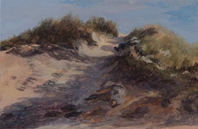 TSMidslandaanZee3a