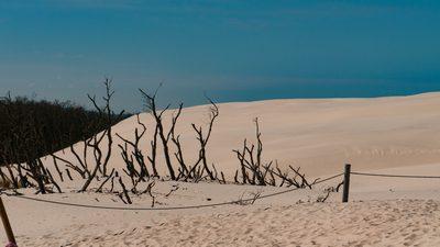 movingdunes 2