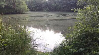 wandelingmakkinga1