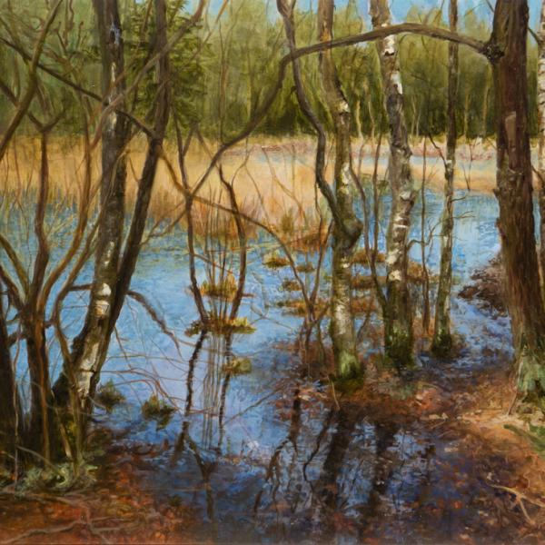 Wegdromen